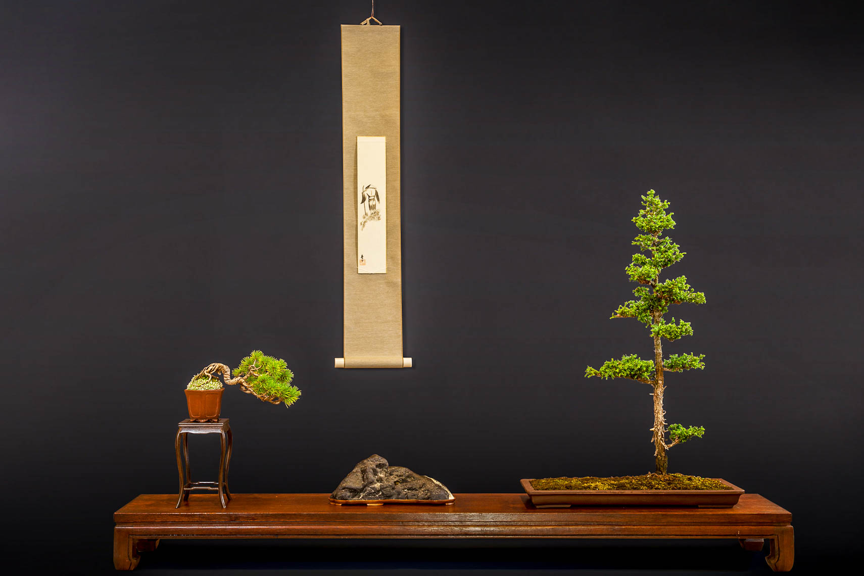 20170625_Bonsai-159-edit